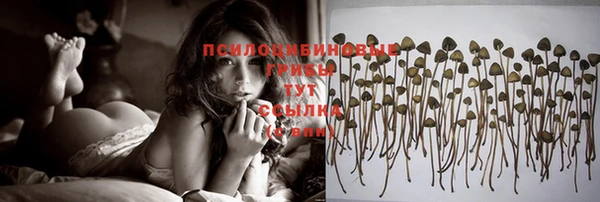 бутик Пересвет