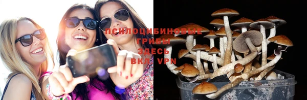 mdpv Болотное