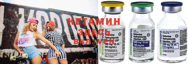 сатива Болхов
