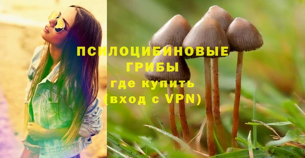 бутик Пересвет