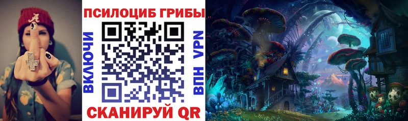 Галлюциногенные грибы прущие грибы Благовещенск