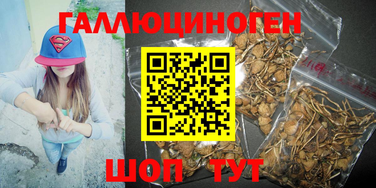 Галлюциногенные грибы мицелий Благовещенск