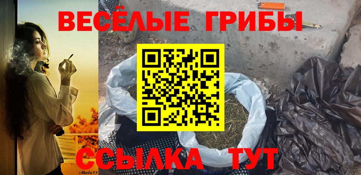 Благовещенск  Псилоцибиновые грибы мухоморы  Вход с VPN  Псилоцибиновые грибы Psilocybe 